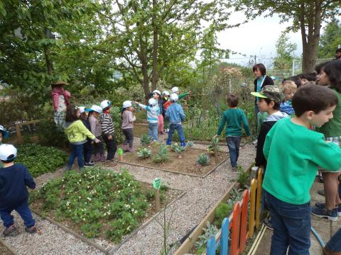 Recebemos outras escolas para partilharmos boas práticas ecológicas e  plantas para as suas hortas.